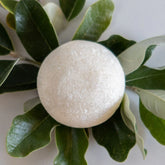 Peppermint Shine - Shampoo Bar