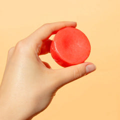 Mango Breeze - Conditioner Bar